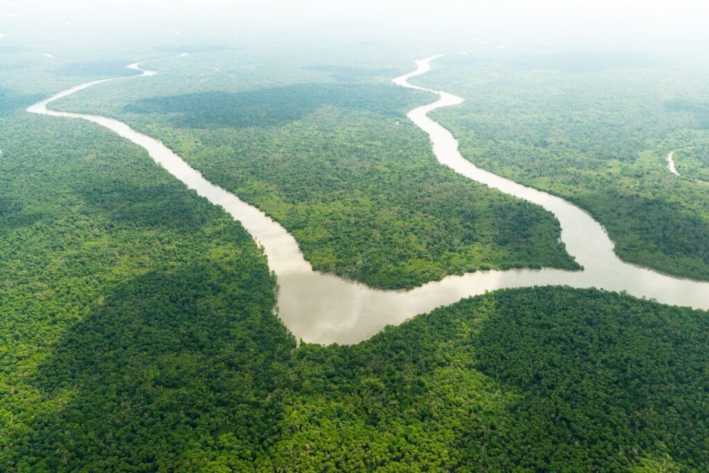 Vista aérea de rio em meio a floresta densa