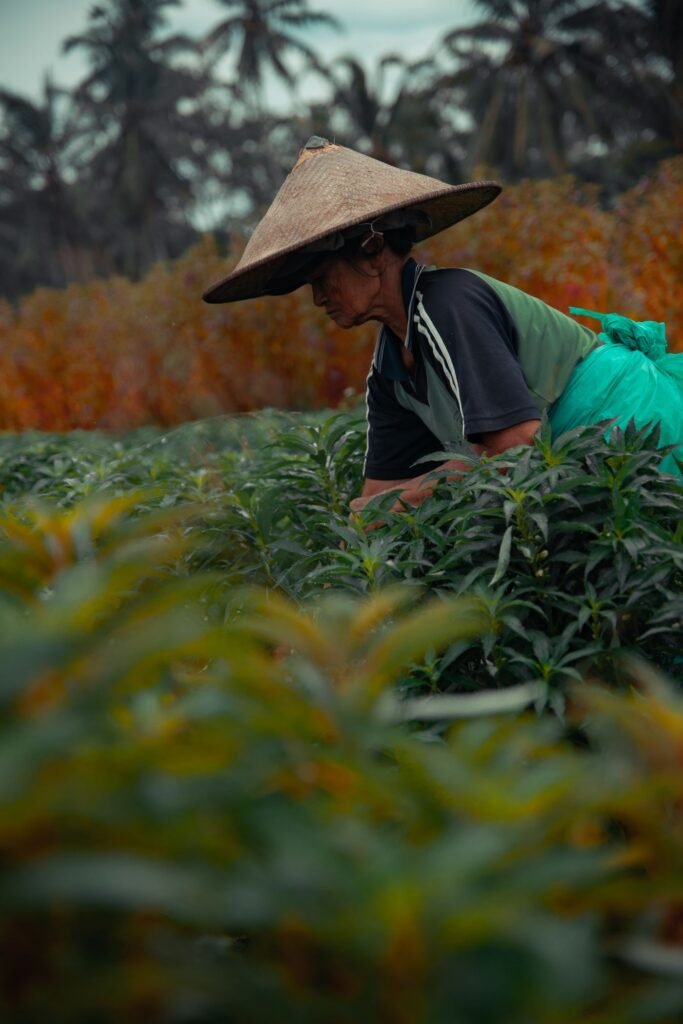Agricultora trabalhando no campo