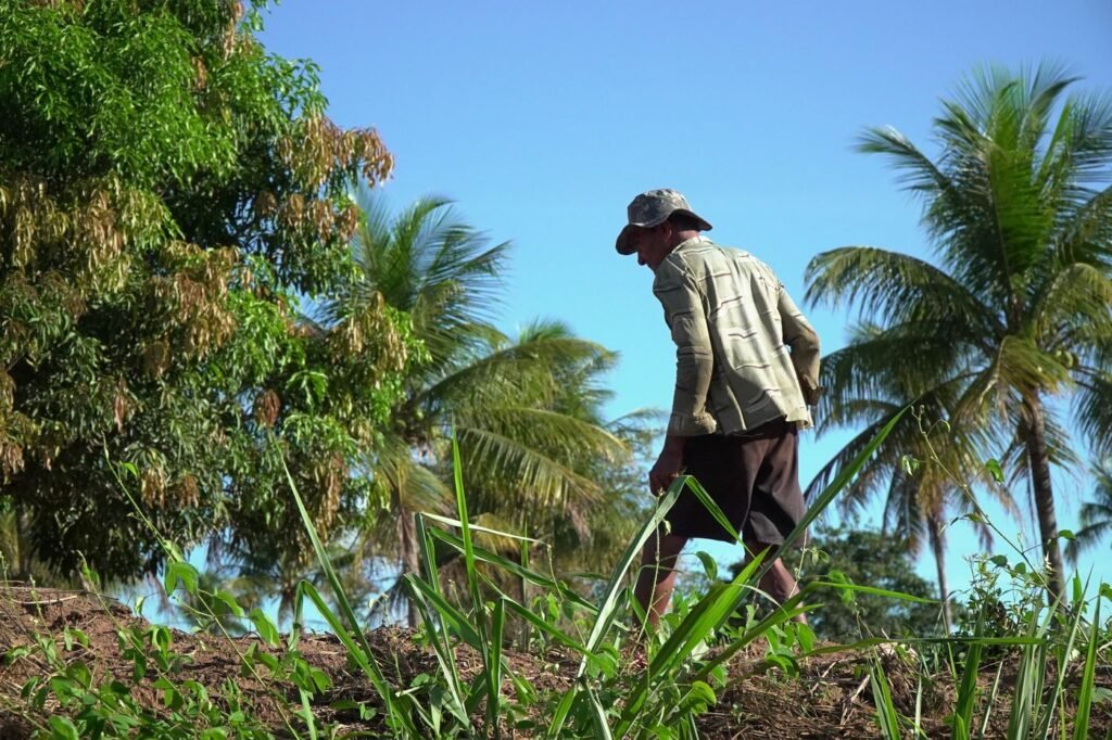 Agricultor trabalhando no campo
