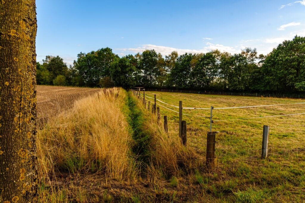 Área rural com campo aberto